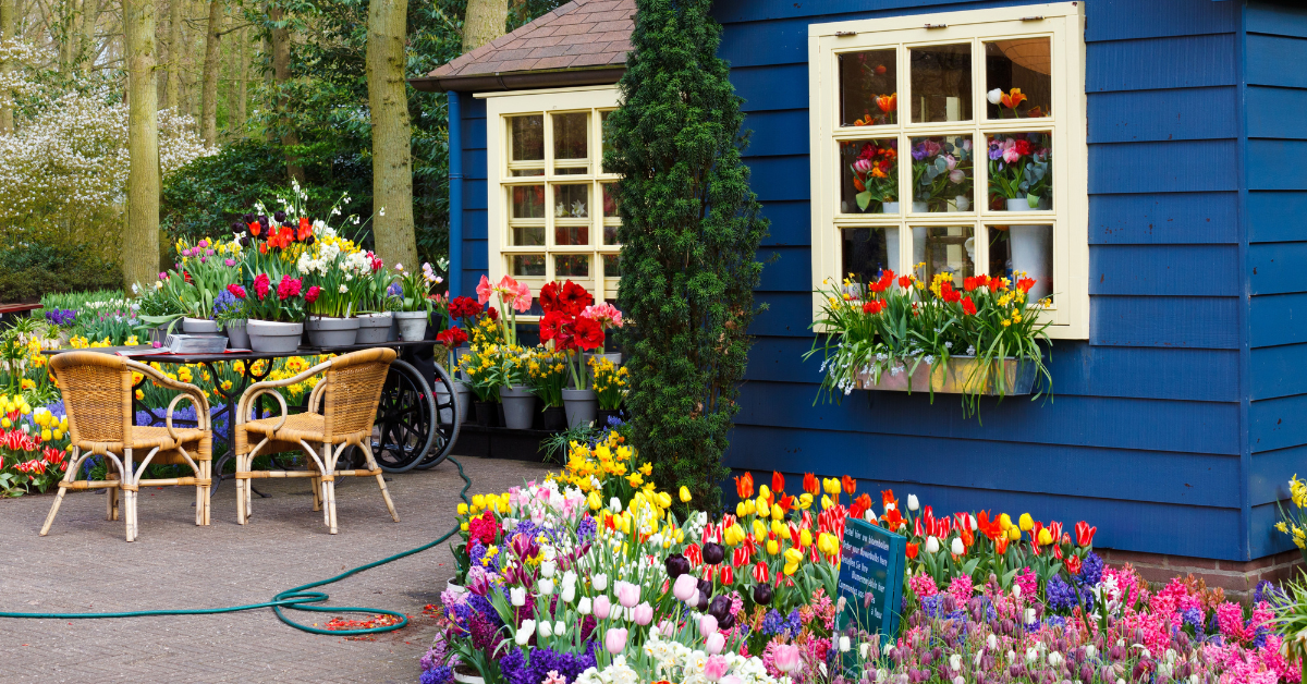 flower shop in lahore